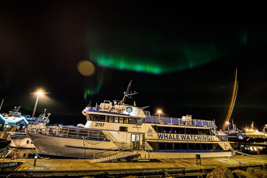 Reykjavik: Northern Lights Guided Boat Tour - Key things I’d zero in on