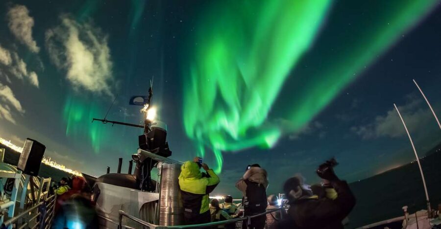 Reykjavik: Northern Lights Guided Boat Tour - Why a guided Northern Lights boat beats standing still in Reykjavik