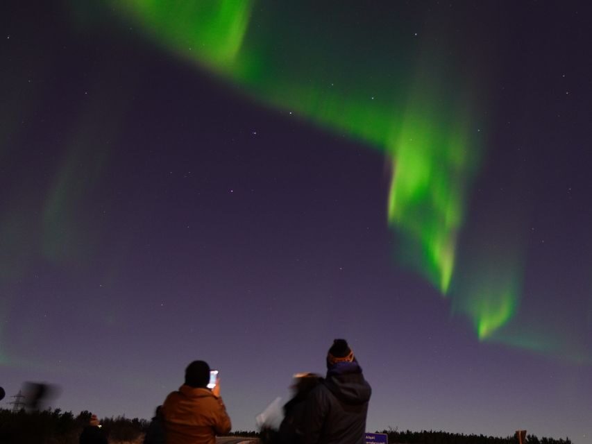 Reykjavik: Northern Lights Tour w/Pro Photos - Small Group - Who This Tour Is Best For (and Who Might Not Love It)