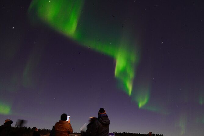 Reykjavik Northern Lights Tour with Pro Aurora Photos Small Group - Value: Why ~$148.50 Can Be a Smart Buy