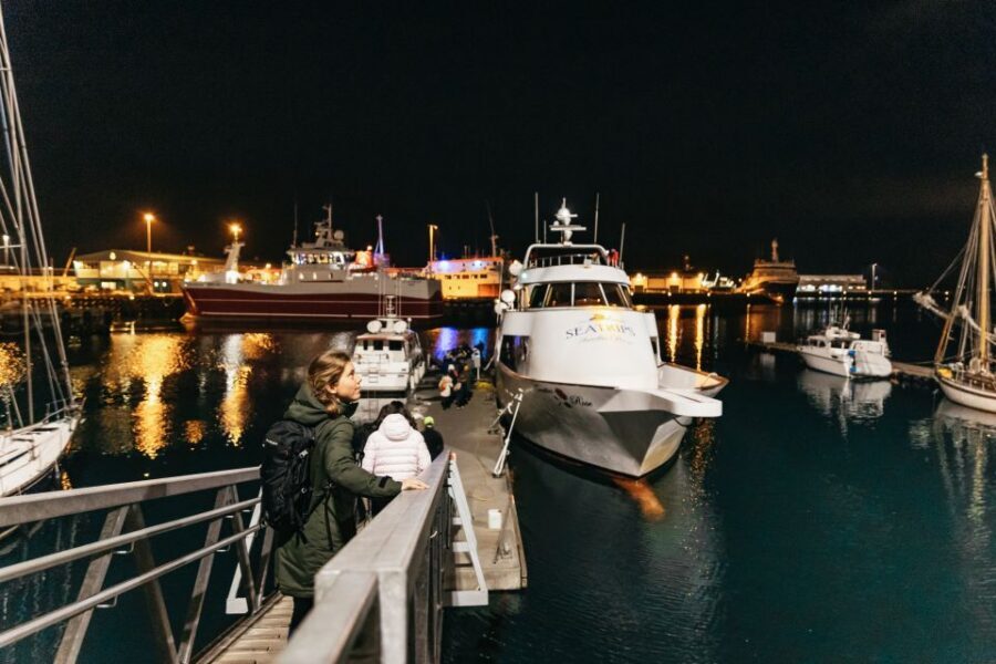 Reykjavik: Northern Lights Yacht Tour - Who Should Book This Yacht Cruise (and Who Might Not)