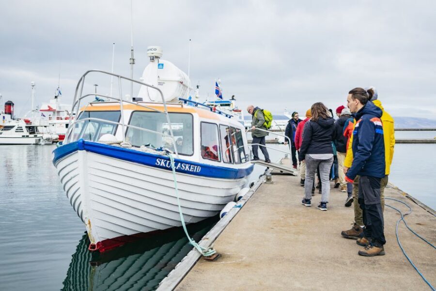 Reykjavik: Puffin Watching Boat Tour - The guide experience: humor + facts, with real names