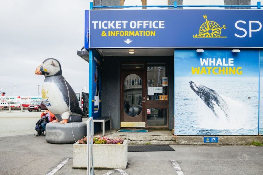 Reykjavik: Puffin Watching Boat Tour - Comfort, bumpy water, and sound: practical tips before you go