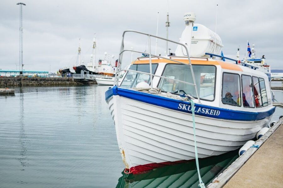 Reykjavik: Puffin Watching Boat Tour - Price and value: $64 for an hour that gets to the point