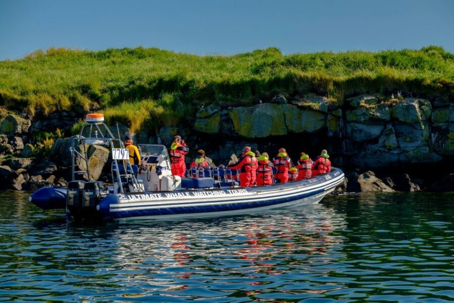 Reykjavik: Puffin Watching Tour - Key highlights you’ll actually care about