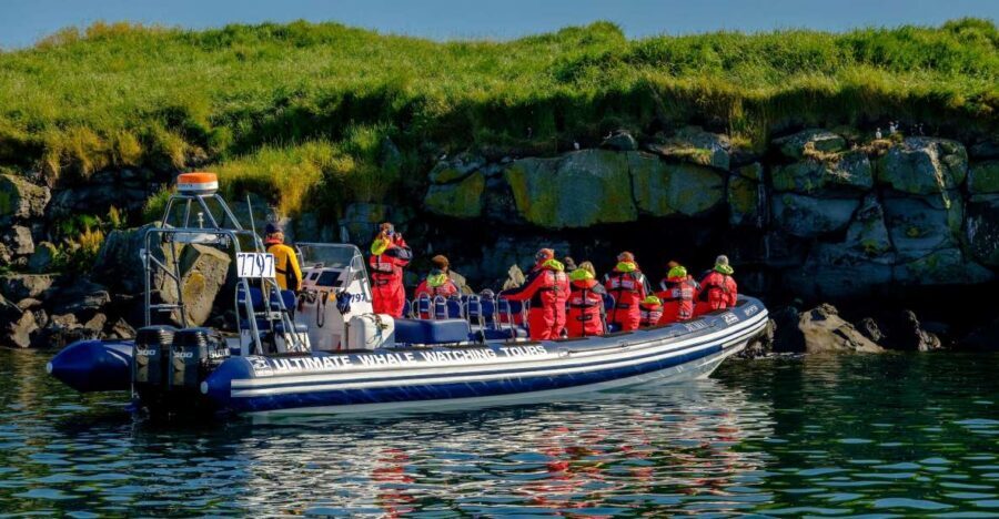 Reykjavik: Puffin Watching Tour - Meet at Old Harbour: how the tour starts (and why it matters)