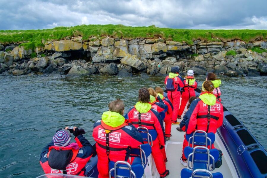 Reykjavik: Puffin Watching Tour - On the water near the cliffs: what you’re looking for