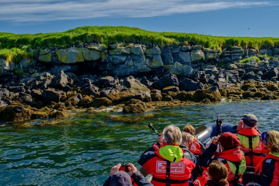 Reykjavik: Puffin Watching Tour - The guide talk: how you get more than a pretty sight