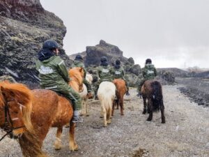 Reykjavik: Red Lava Horse Riding Tour - Icelandic horses and safety: how the guides set you up