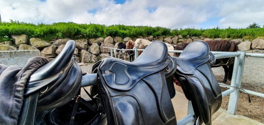 Reykjavik: Red Lava Horse Riding Tour - Getting dressed for Iceland weather (without wasting your day)