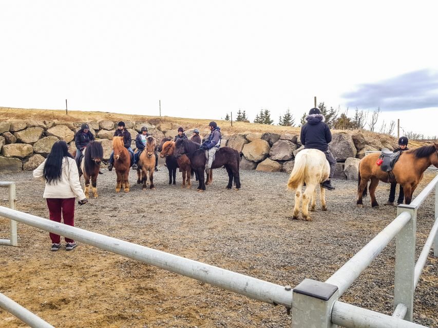 Reykjavik: Red Lava Horse Riding Tour - Price and value: what $142 actually buys you