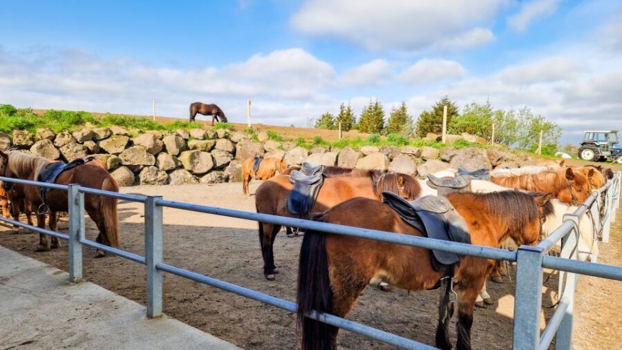 Reykjavik: Red Lava Horse Riding Tour - Tips to make your red lava ride go smoothly