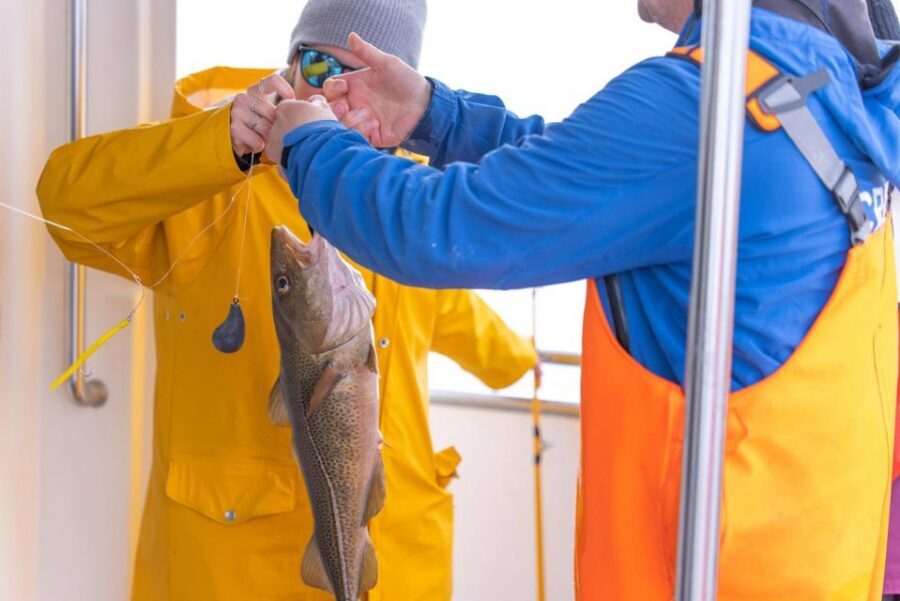 Reykjavik: Sea Fishing Boat Tour & BBQ with the Day's Catch - Key things I’d bank on before you go