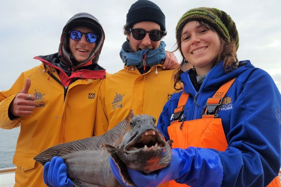 Reykjavik: Sea Fishing Boat Tour & BBQ with the Day's Catch - Should you book this Reykjavik sea fishing and BBQ tour?