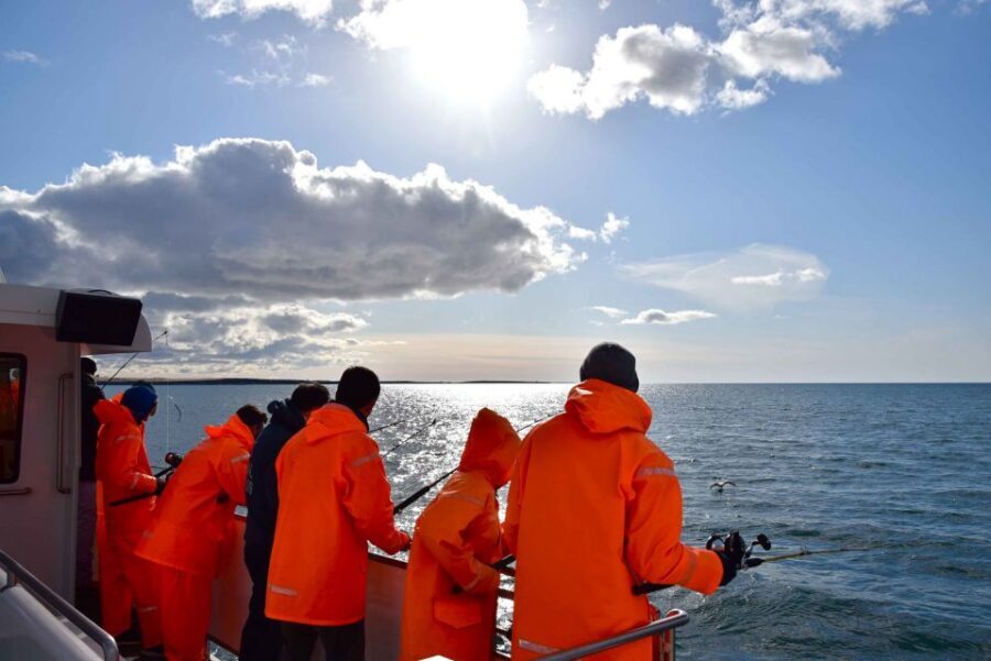 Reykjavik: Sea Fishing Boat Tour & BBQ with the Day's Catch - Wildlife sightings: puffins, whales, and the timing of patience