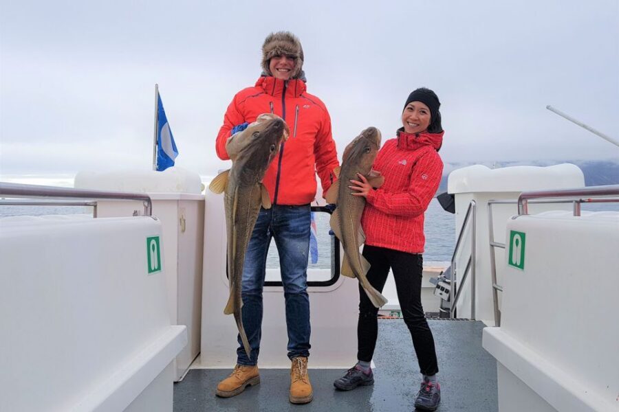 Reykjavik: Sea Fishing Boat Tour & BBQ with the Day's Catch - Price and value: what $141 buys you in real terms