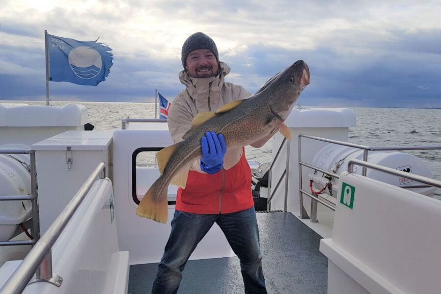 Reykjavik: Sea Fishing Boat Tour & BBQ with the Day's Catch - Who this tour is best for (and who might want a Plan B)