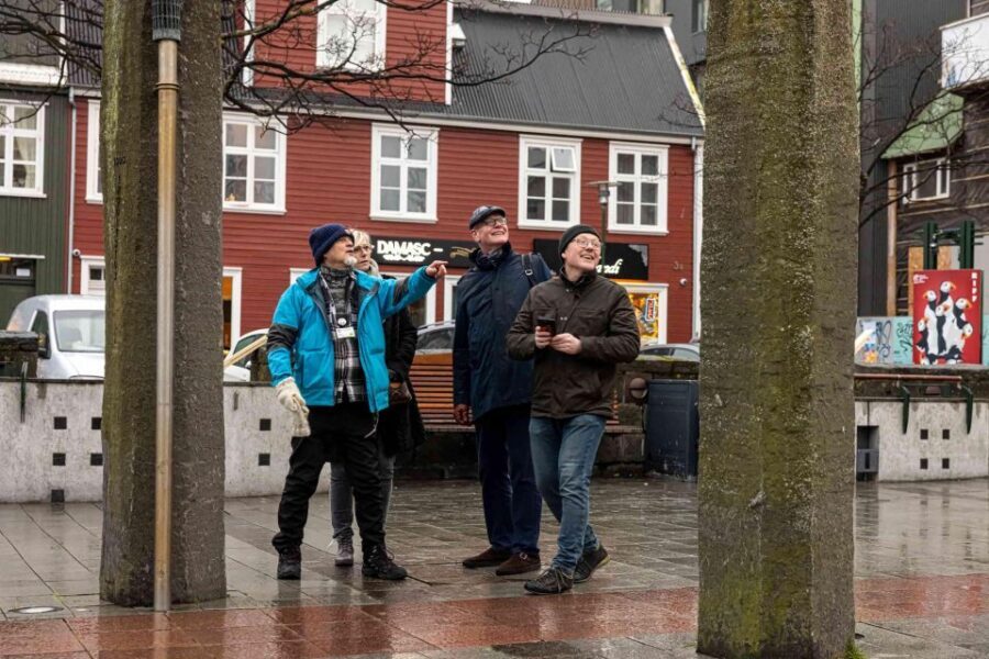 Reykjavik: Sightseeing Walking Tour with a Viking - Weather reality: how to dress so the walk stays fun
