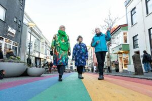 Reykjavik: Sightseeing Walking Tour with a Viking - Austurvöllur and Alþingi: the stop for Iceland’s political pulse