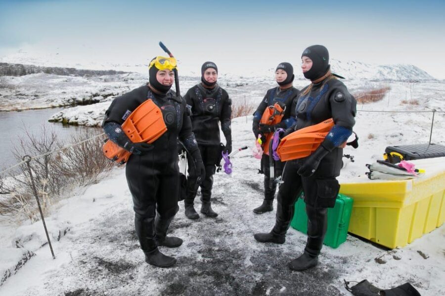 Reykjavík: Silfra Fissure Snorkeling between Two Continents - Price and Value: What $140 Really Buys You