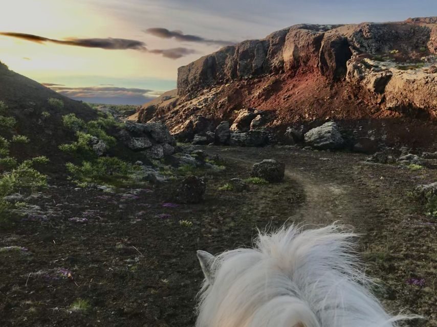 Reykjavik: Small-Group Horse Volcano Riding Tour with Pickup - Key things to know before you go