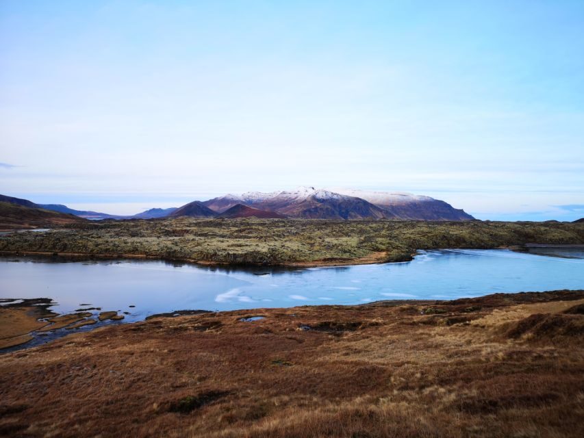 Reykjavik: Small-Group Snæfellsnes Day Trip - Ytri-Tunga seals and the farm-by-the-beach feel