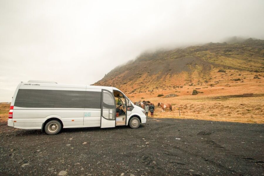 Reykjavik: Snaefellsnes & Mt. Kirkjufell Guided Minibus Tour - Londrangar sea stacks and Arnarstapi/Hellnar cliffs