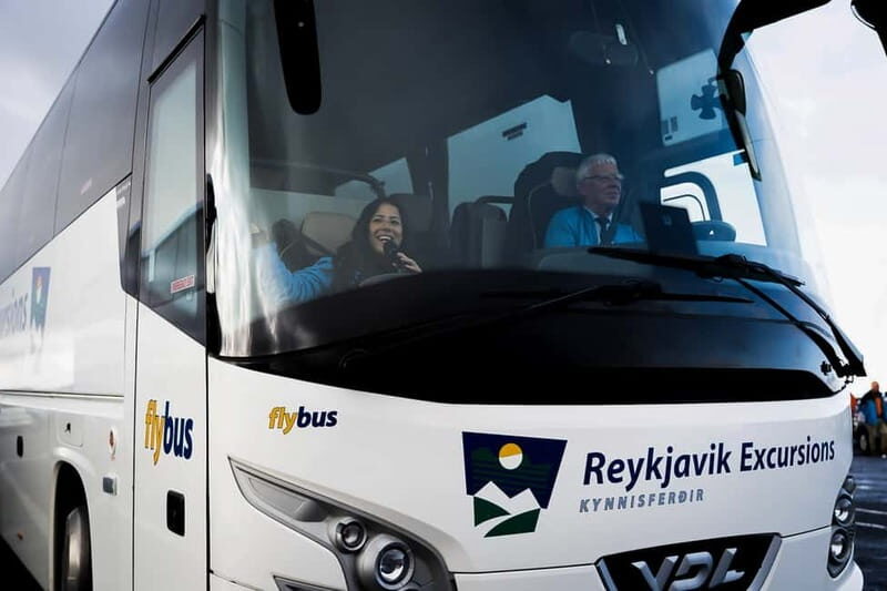 Reykjavik: The Golden Circle Day Tour - Who this Golden Circle tour is best for