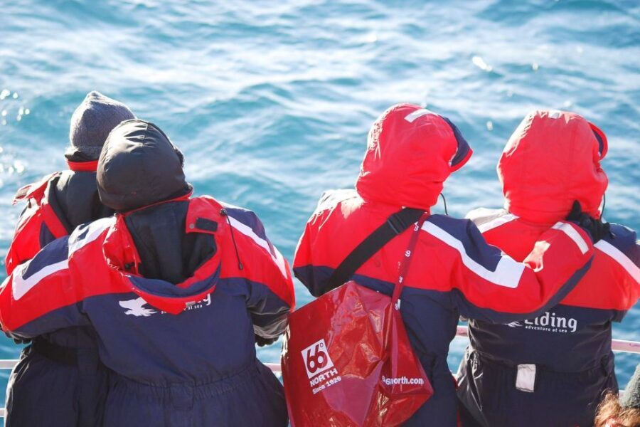 Reykjavik: the Original 3-Hour Whale Watching Tour - Responsible whale watching: why the code of conduct matters