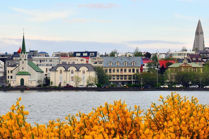 Reykjavik Walking Tour - Walk with a Viking - Kirkjugarðurinn Suðurgötu: the oldest graveyard stop that makes you slow down