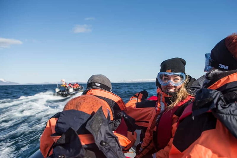 Reykjavik: Whale and Puffin Watching RIB Boat Tour - The Whale Search Plan: Why a Small RIB Finds More Chances