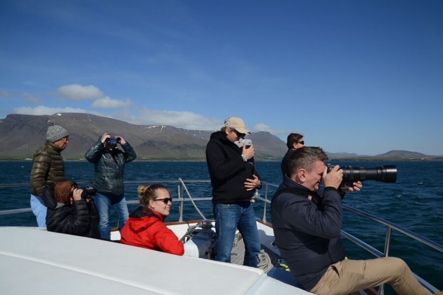 Reykjavik: Whale Watching and Dolphin Watching Yacht Cruise - The return-again ticket: peace of mind, not a magic wand