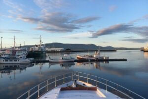 Reykjavik: Whale Watching and Dolphin Watching Yacht Cruise - The yacht choice: MY Harpa vs MY Amelia Rose