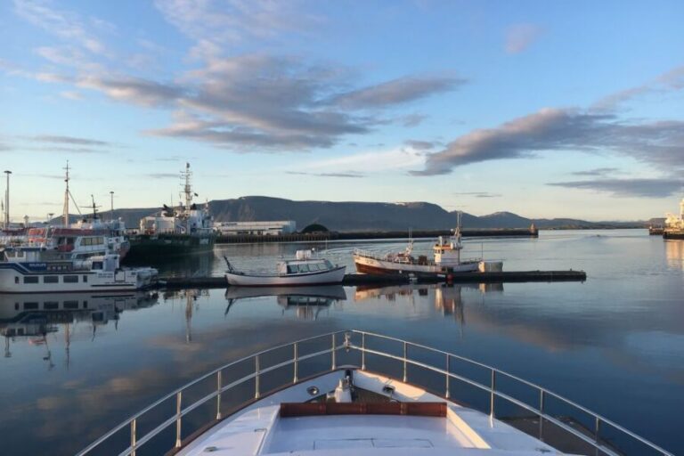 Reykjavik: Whale Watching and Dolphin Watching Yacht Cruise - The yacht choice: MY Harpa vs MY Amelia Rose