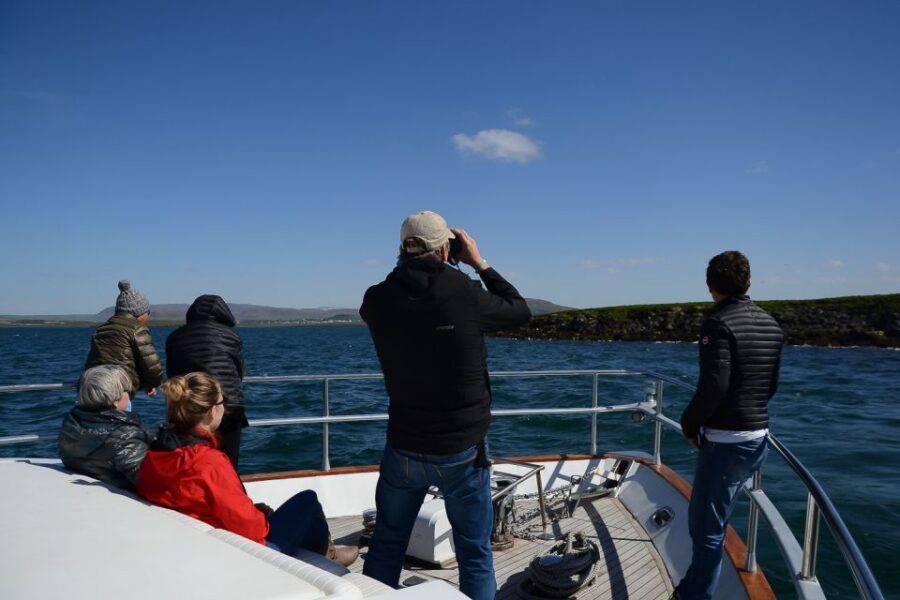 Reykjavik: Whale Watching and Dolphin Watching Yacht Cruise - The guide experience: what makes spotting easier