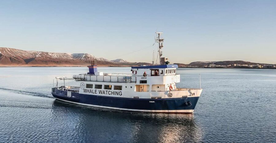 Reykjavík: Whale Watching and Marine Life Cruise - Quick reasons to book this Reykjavík whale cruise