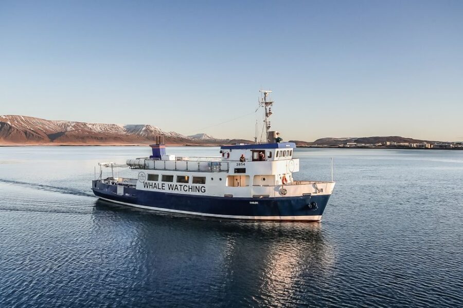 Reykjavík: Whale Watching and Marine Life Cruise - The boat experience: comfort first, then the best viewing