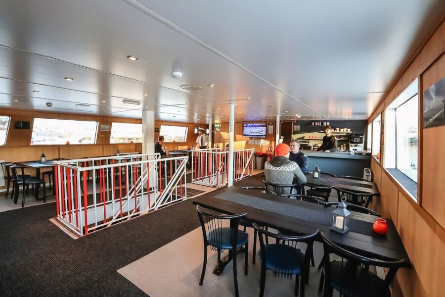 Reykjavík: Whale Watching and Marine Life Cruise - Your likely flow on the water (and where the best moments happen)