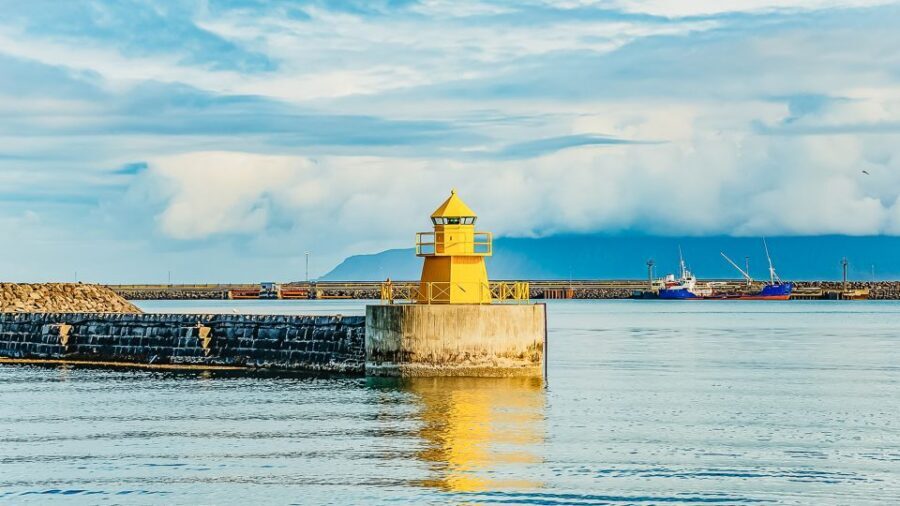 Reykjavík: Whale Watching and Marine Life Cruise - Check-in and boarding: simple, but don’t wait at the last minute