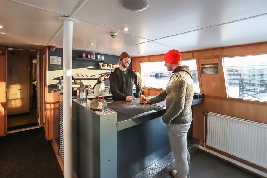 Reykjavík: Whale Watching and Marine Life Cruise - Price and value: what you’re paying for at $87 per person