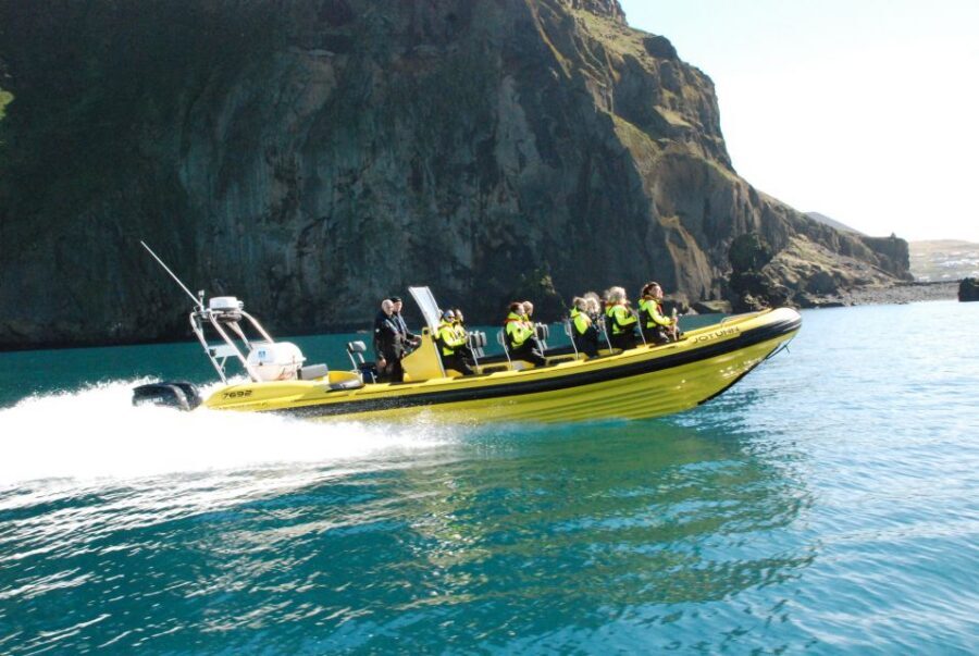 Reykjavik: Whale Watching by RIB Speedboat - Should you book this RIB whale watching tour from Reykjavík?
