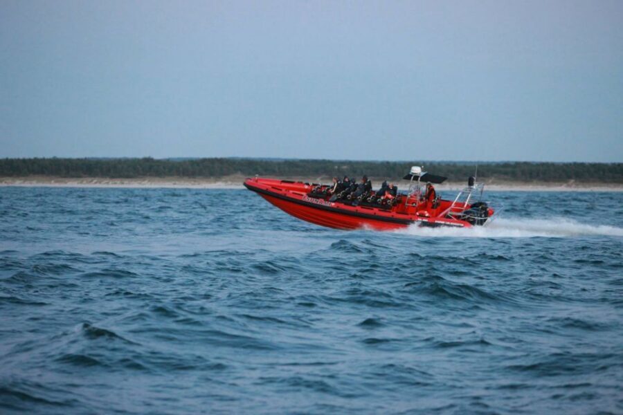 Reykjavik: Whale Watching by RIB Speedboat - Wildlife odds, quick repositioning, and the free re-try ticket