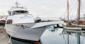 Reykjavík: Whale Watching Cruise on the Amelia Rose Yacht - Key highlights worth your attention