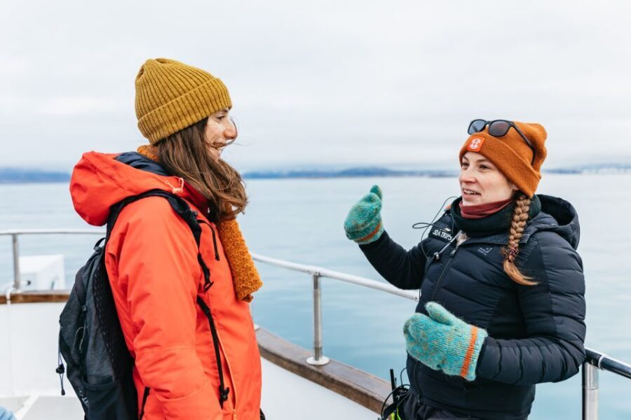 Reykjavík: Whale Watching Cruise on the Amelia Rose Yacht - Reykjavík whale watching feels more relaxed on Amelia Rose’s yacht