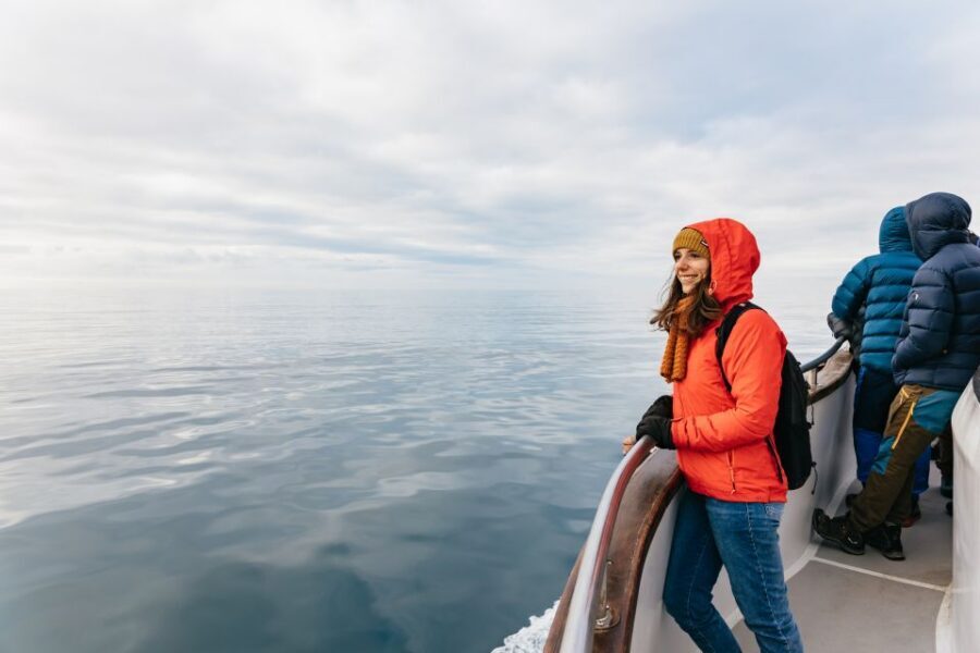 Reykjavík: Whale Watching Cruise on the Amelia Rose Yacht - From Old Harbor to Faxaflói Bay: the route that keeps Reykjavík in view