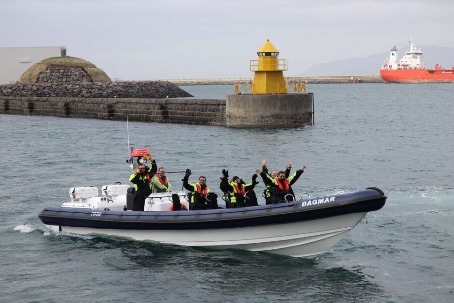 Reykjavik: Whale Watching Tour by RIB Boat - Summer bonus: Akurey puffins and what you’re actually looking at