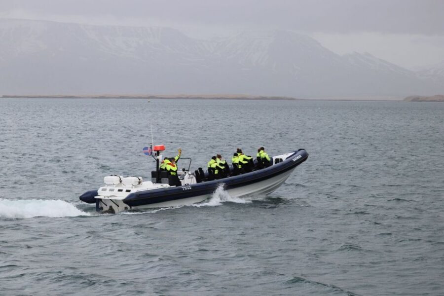 Reykjavik: Whale Watching Tour by RIB Boat - Guide energy matters more than you think