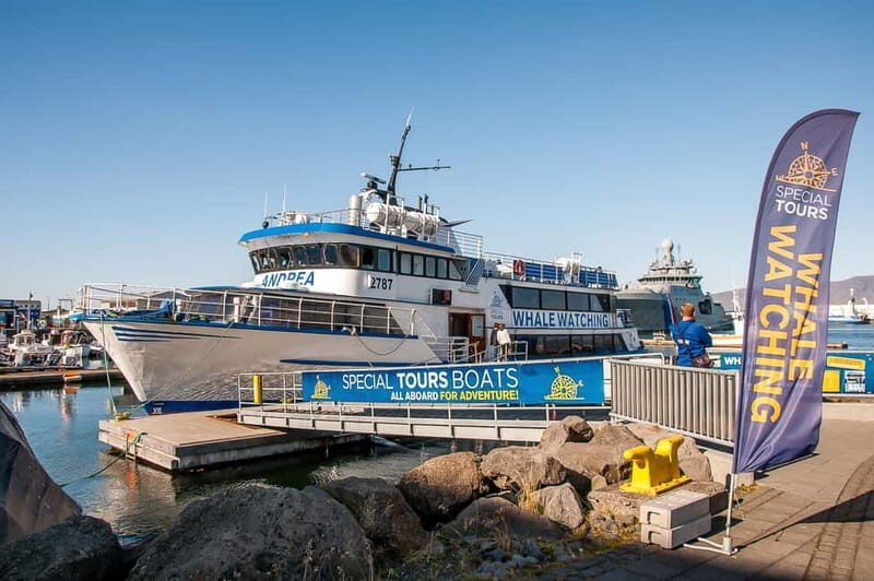 Reykjavik: Whale Watching Tour with Expert Guide - Key things you’ll notice on this whale watching cruise
