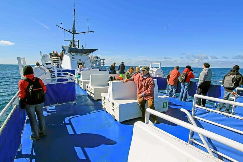 Reykjavik: Whale Watching Tour with Expert Guide - Classic vs Express: picking the best departure for your day
