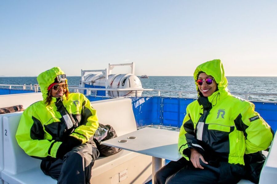 Reykjavik: Whale Watching Tour with Expert Guide - Price and value: is $90 worth it in Iceland terms?